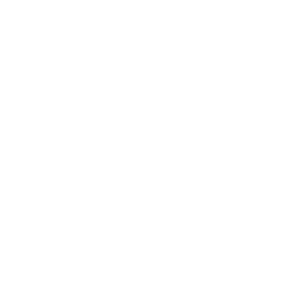 Voyage